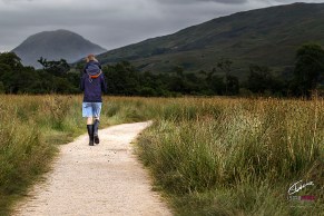 4-fiel-compan%cc%83ero