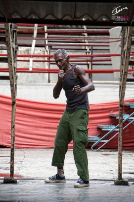 Desafío de luchador