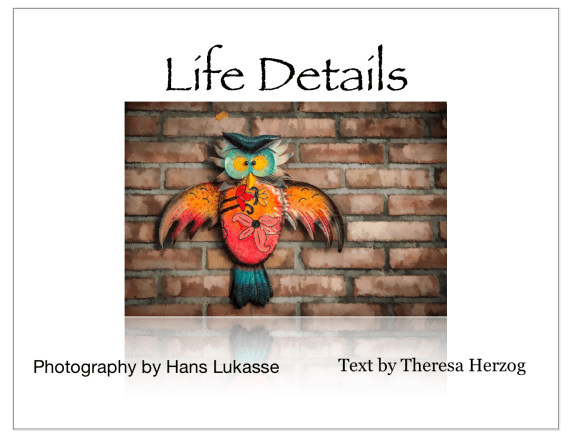 screen-shot-2016-12-22-at-11-12-55